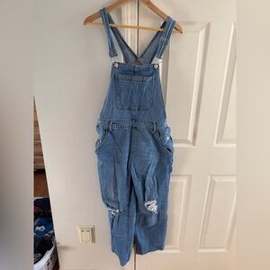 Wild Fable Distressed Denim Overalls